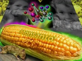 Nouvel Ordre Mondial - L'avenir se dessine