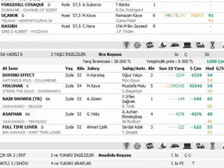 3 EYLÜL İSTANBUL YARIŞ YORUMLARI