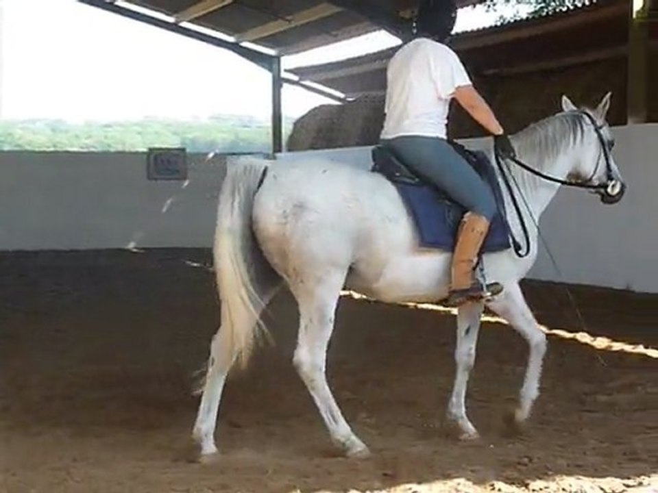 Dada chez B travail monté