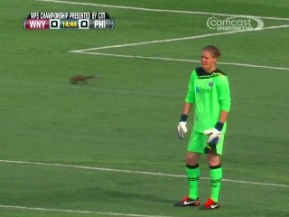 Un écureuil complètement foot !