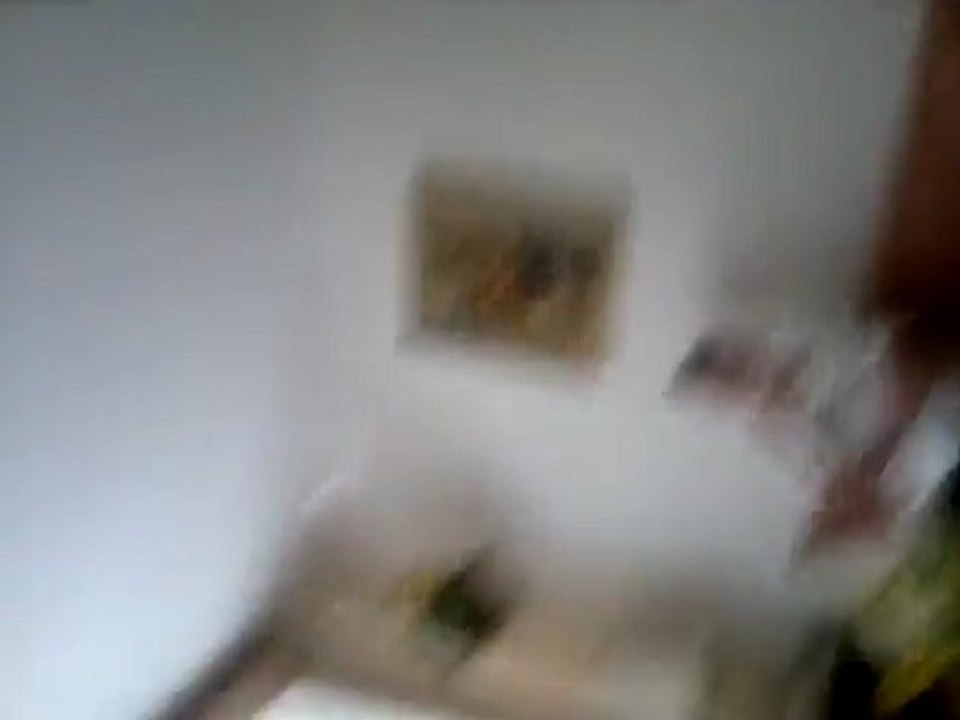 04062011013