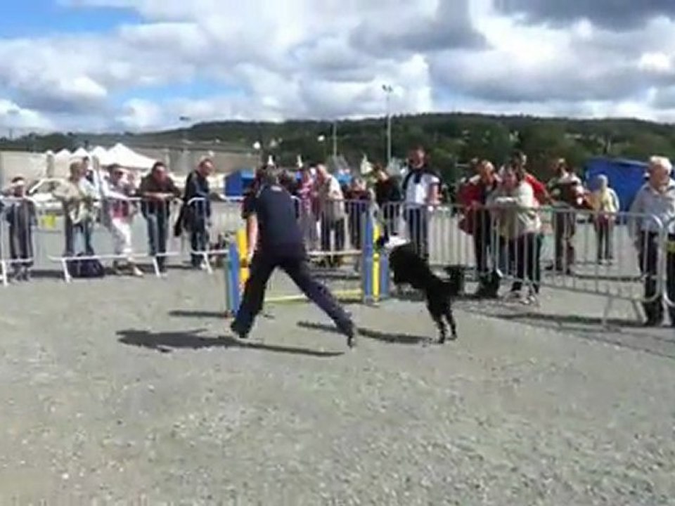 Démonstration au Refuge Animalier du Pays de Landerneau