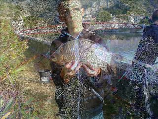 LA PËCHE AVEC LES POTE et ma FAMILLE