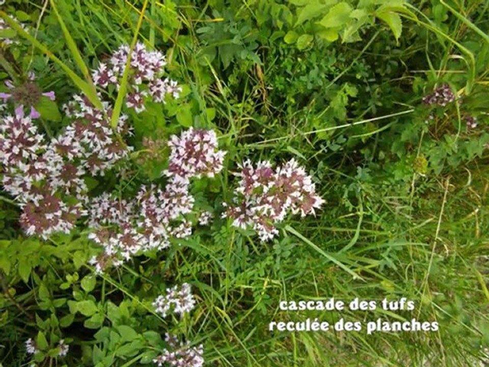 le jura 3eme et derniere partie