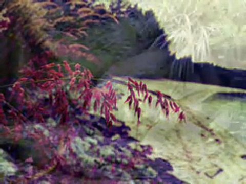 1 Root Chakra Meditation (Muladhara)