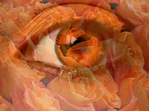 2 Sacral Chakra Meditation (Svadisthana)