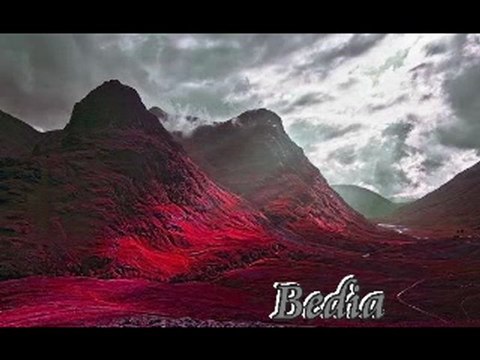 Oğuz Boran/ yarını yok..