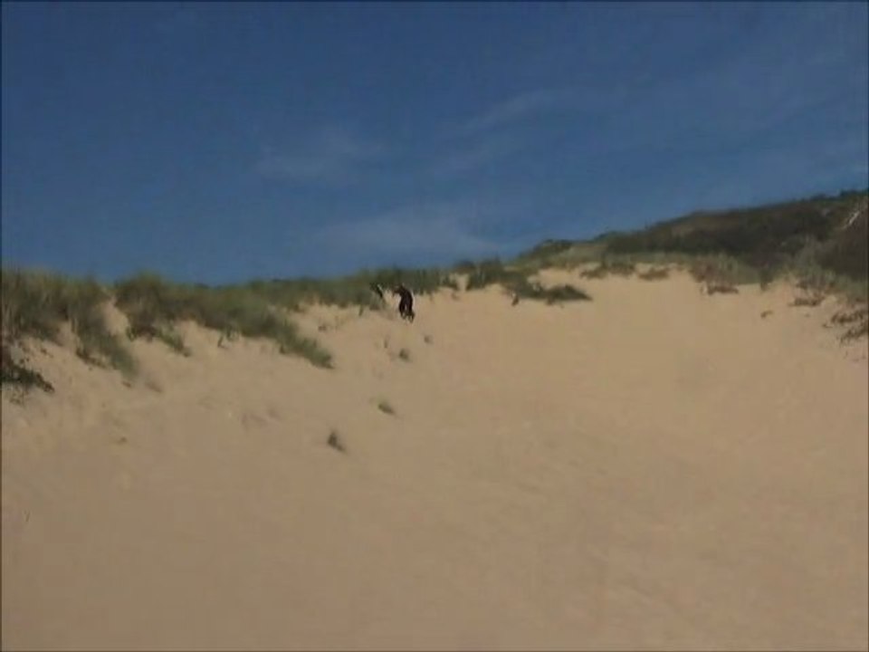 Neige & Erolaï Aux Dunes De Biville 2