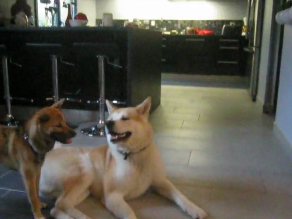 Fushi & Daïbo