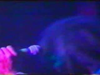 bob marley marque un BUT!! brazil 1980