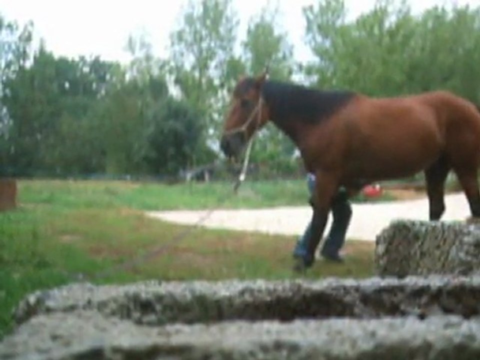 Moment de folie avec sa morue