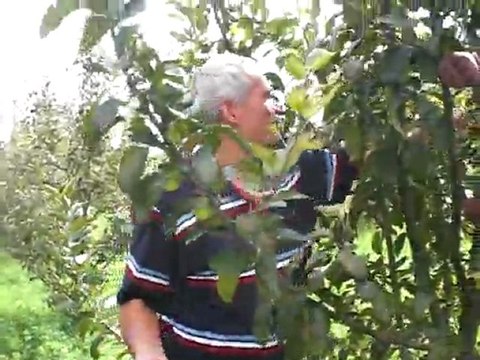 TAŞOVA YERKUZLU KÖYÜN DE SİNAN CABAYI ZİYARET haberamasya.com