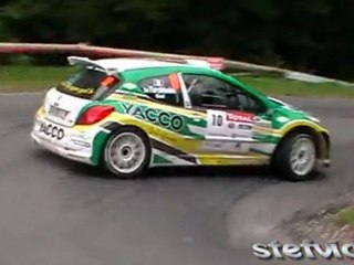 Rallye du mont blanc 2011