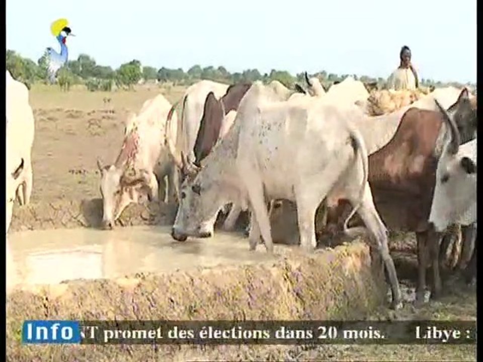 MARCHE HEBDOMADAIRE DE RORO DU 03 SEPT 2011