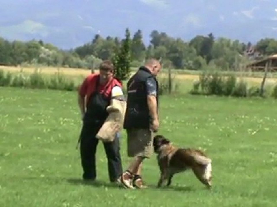 Cassandre-IPO2-Juli-2011-Schutz