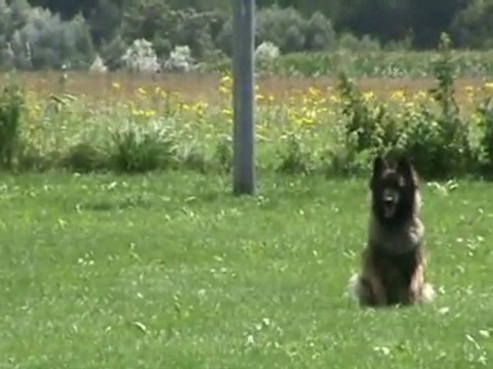 Cassandre-IPO2-Juli-2011-UO