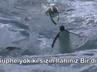 SAFFAT SURESİ (Ahmed Abed)