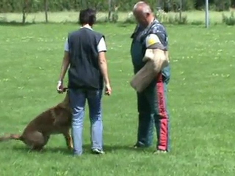 Barnaba-IPO1-Juli-2011-Schutz