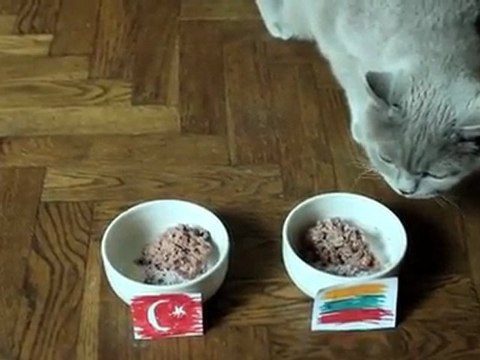 LITHUANIA-TURKEY Oracle Sharas from Kaunas