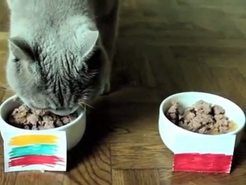 LITHUANIA-POLAND Oracle Sharas from Kaunas