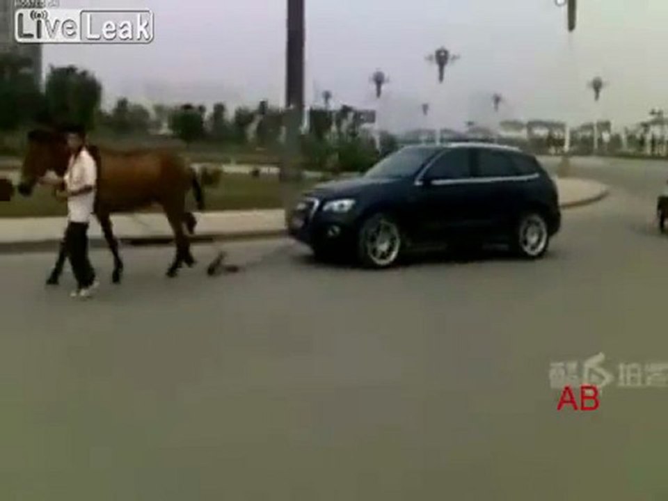 Pferd, das einen Audi Q5