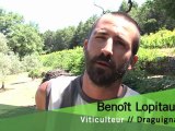 Benoit et Sophie LOPITAUX, viticulteurs à Draguignan