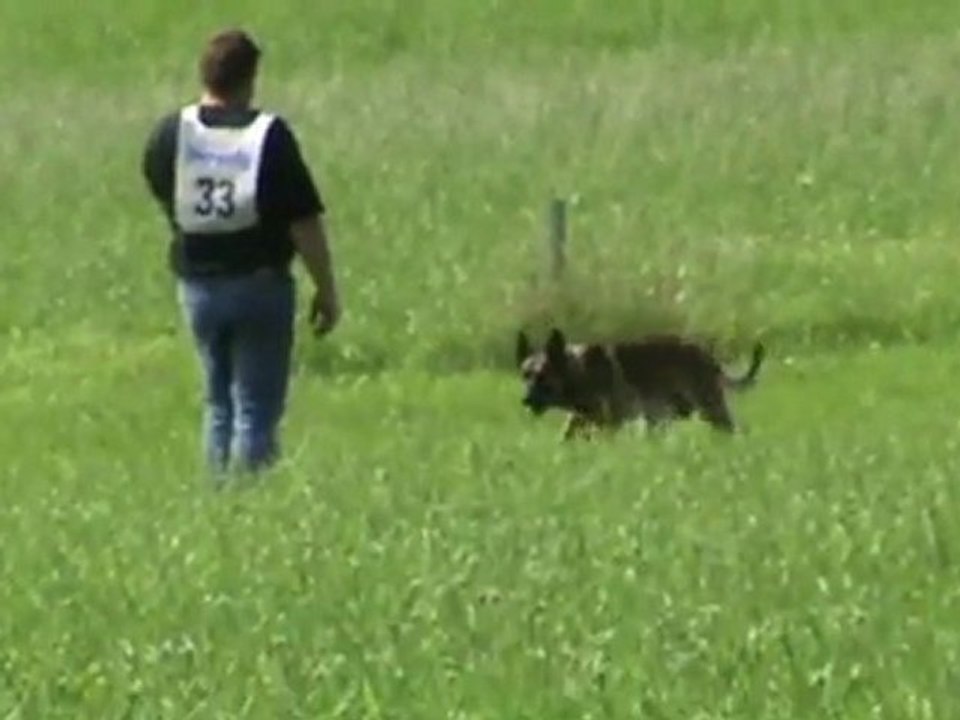 ÖGV-Sieger-2011-Gruber+Apollon-Fährte