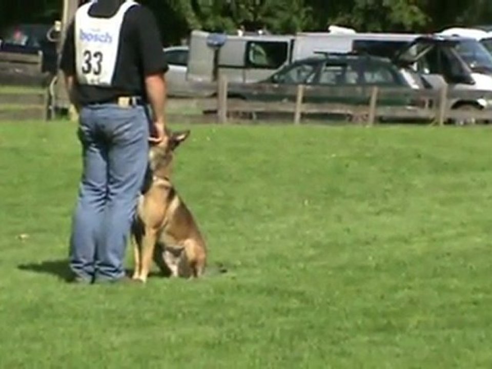 ÖGV-Sieger-2011-Gruber+Apollon-UO