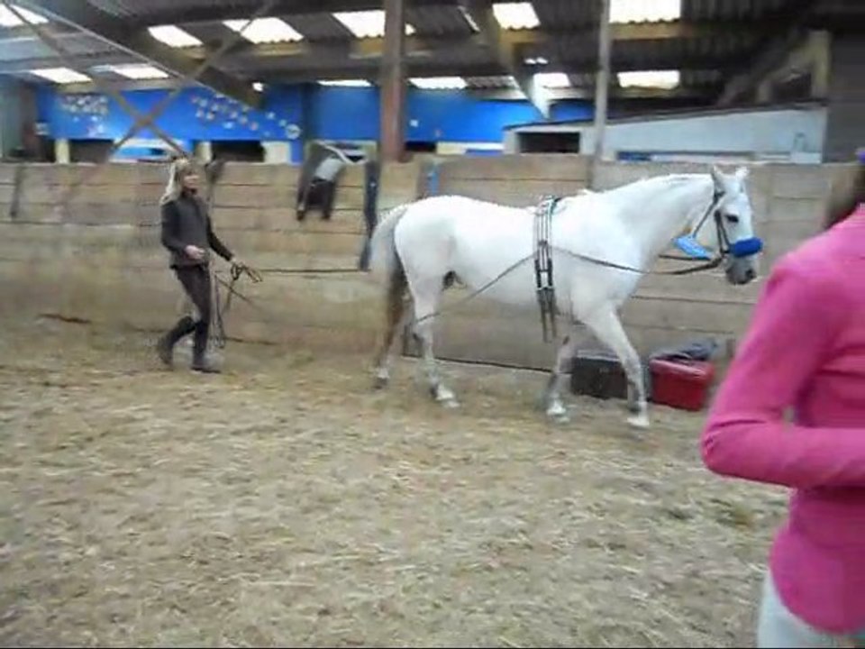 Longues rênes avec Moly :)