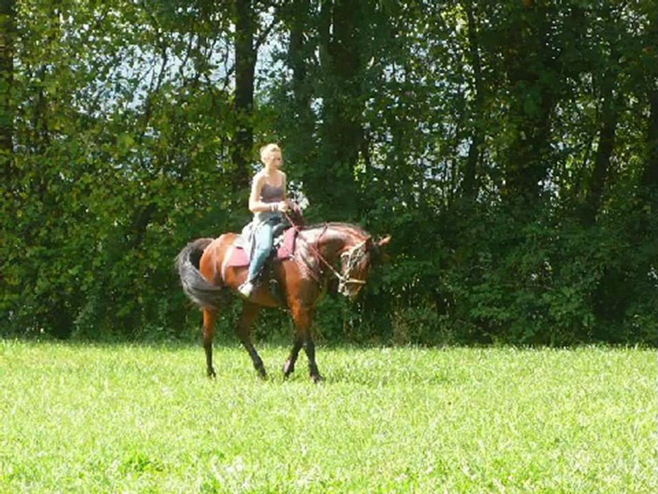 03 septembre 2011