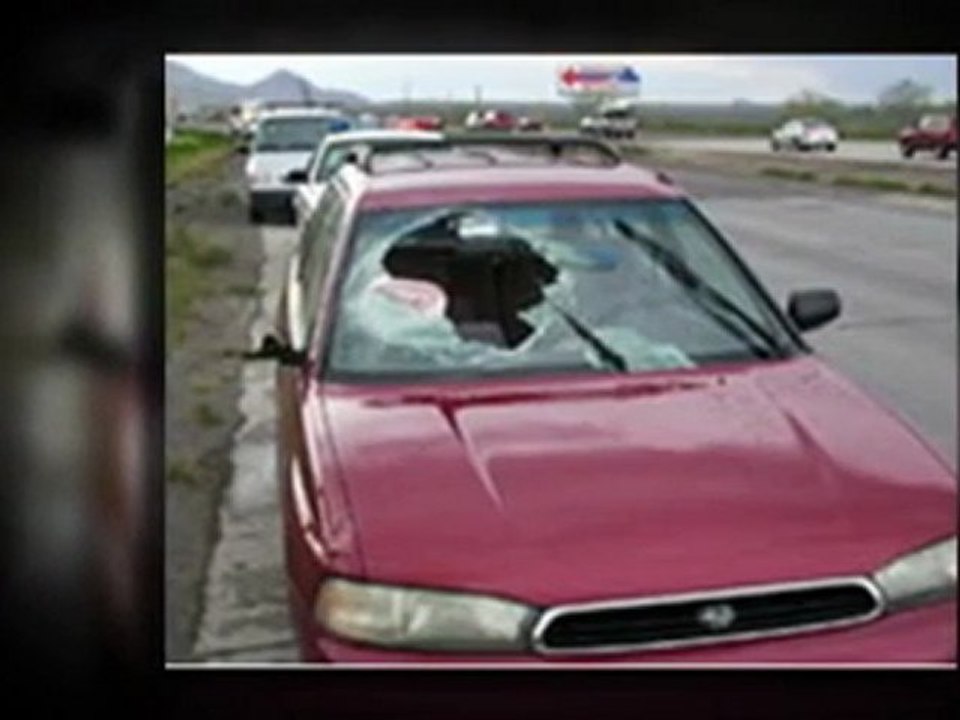 23021 auto glass