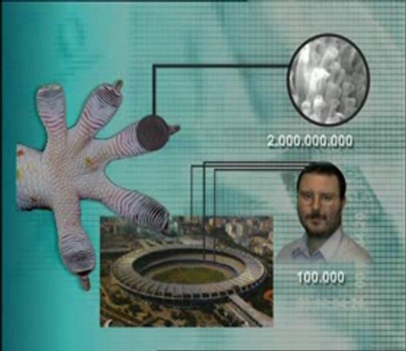 Gekonun tutunma tekniği