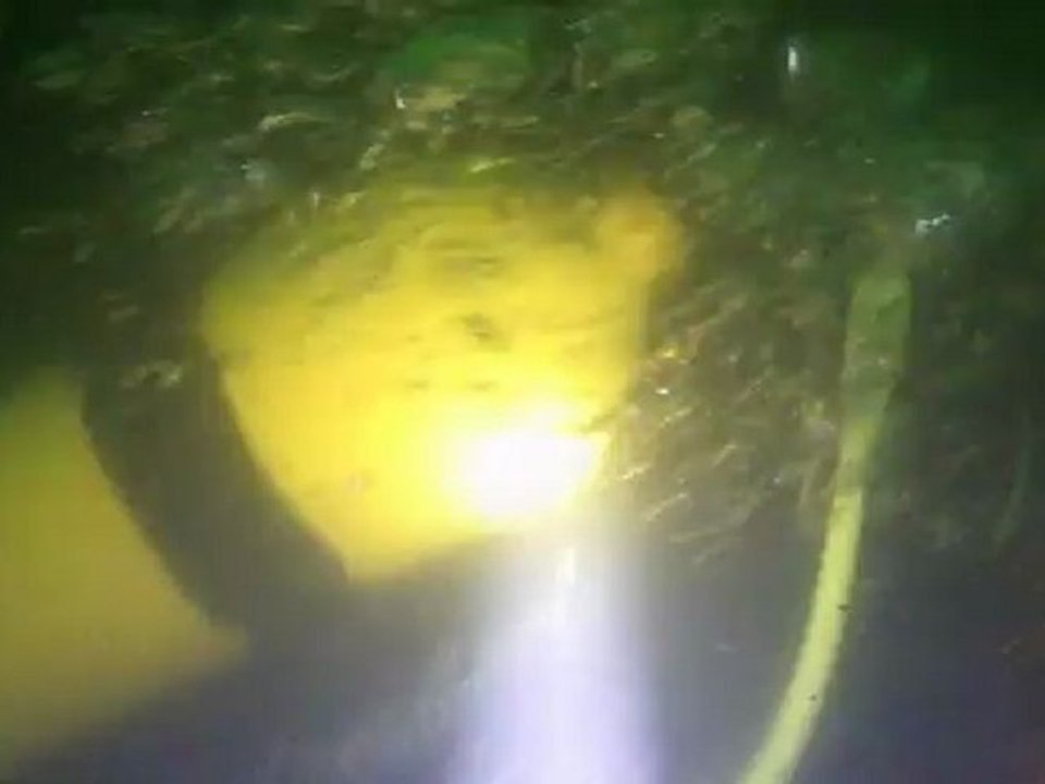 plongée gravière 1/09/2011