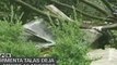 Tormenta Talas provoca 15 muertes en Japón