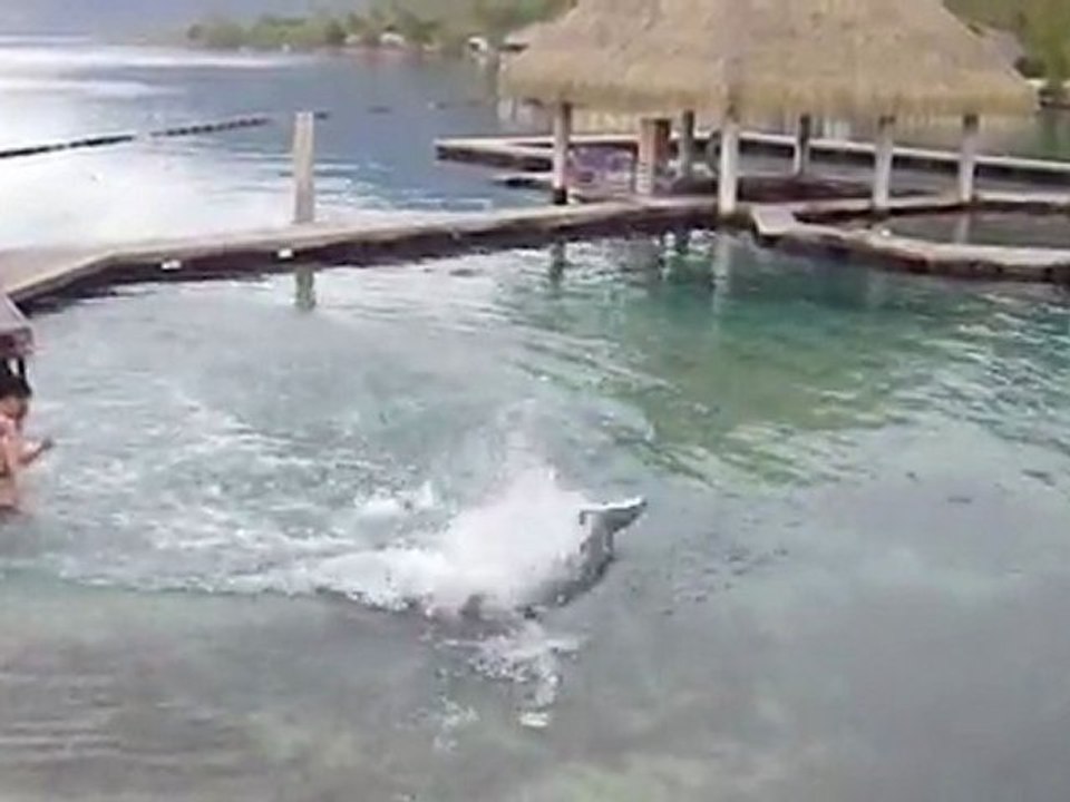 moorea3