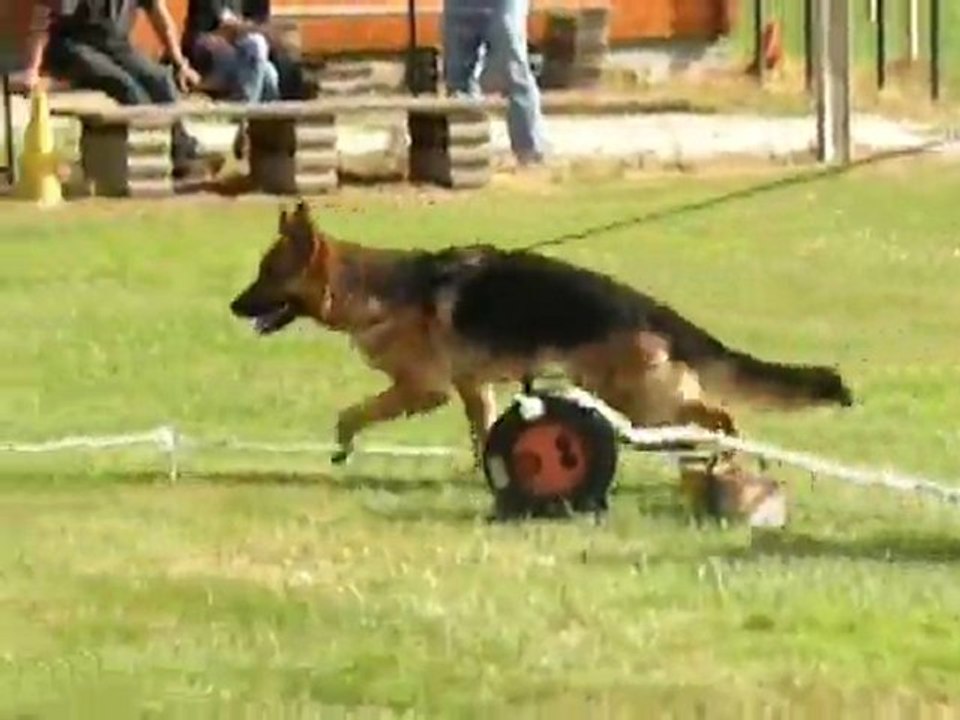 FLAMME du SAVAGE GARDEN