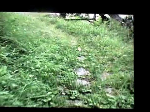 kaçkarlara kaçmak cemal gülas-1-