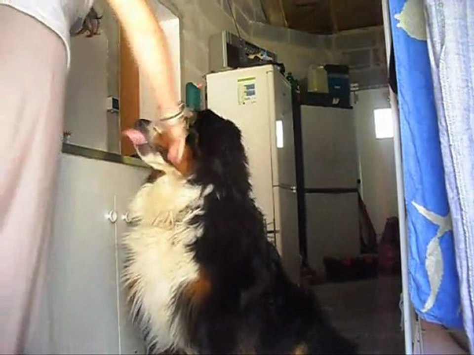 Le clicker d'Eclypse