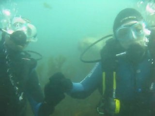 Péninsule Valdès - Plongée avec otaries