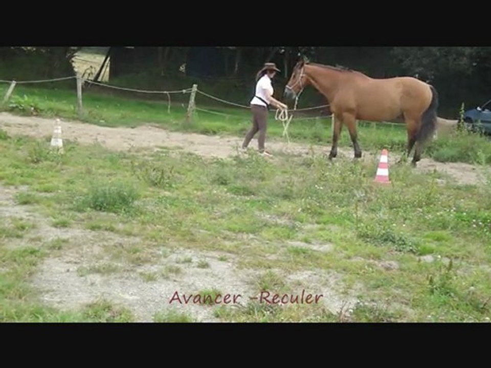 Séance à pied (3.09.11)