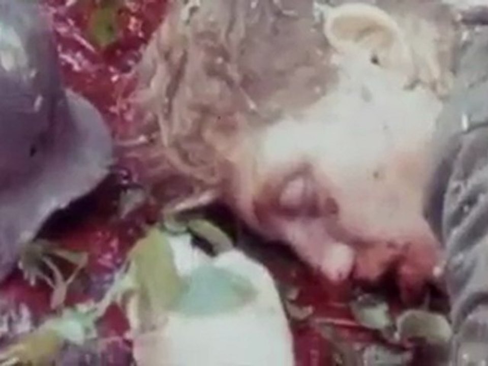 - Les Films Perdus De La Seconde Guerre Mondiale - Point de non retour