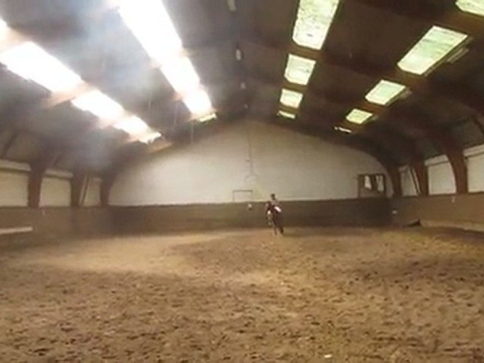 Gulliver Mon Amour de Cheval !