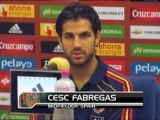 Euro2012 - Fabregas: 