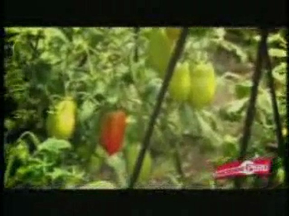 Sierra Productiva en La Libertad.