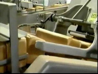 Mega Disasters  Oil Apocalypse