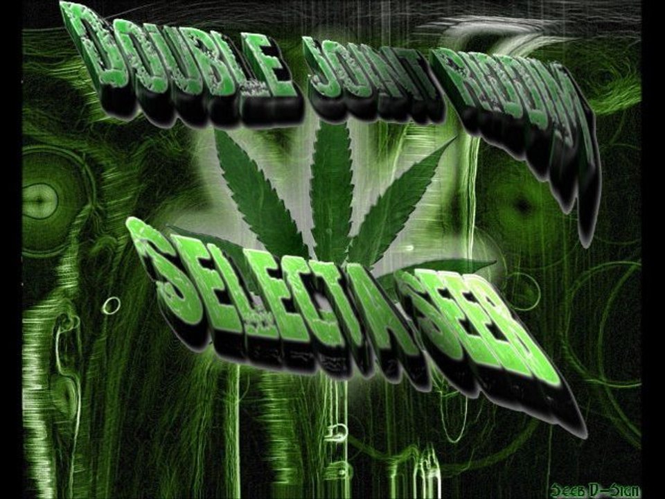 Selecta Seeb (OFFICIAL) Mix Stimulant & Double Joint Riddim Don Corleon Prod