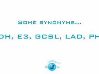 Dihydrolipoyl dehydrogenase, mitochondrial recombinant protein