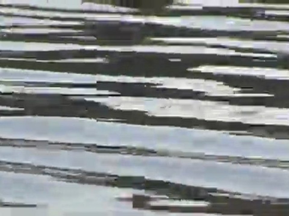 Being Water - le dialogue -
