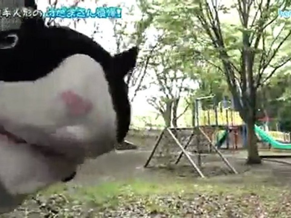 祝ネコの手人形のけだまさん復帰！