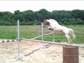 Saut en liberté 13 aout 2011